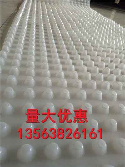 衡陽《屋頂花園隔根層》PE土工膜