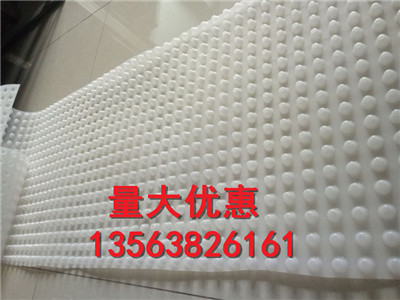 批發HDPE車庫頂板綠化專用排水板