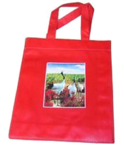 東莞手提袋 覆膜彩色無紡布袋，束口袋