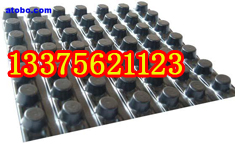 齊齊哈爾排水板；齊齊哈爾防滲膜；防排水板