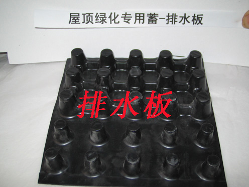 膠州排水板，膠州塑料濾水板，聚乙烯排水板