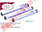 瑞士LANAMATIC AG無杆汽缸