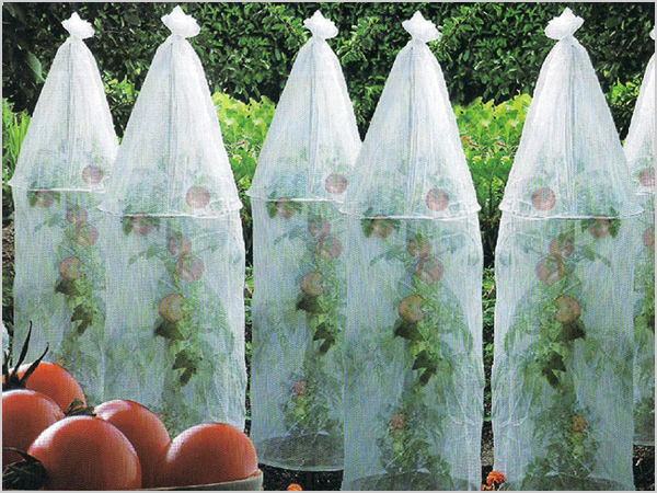 遮陽、遮蟲罩