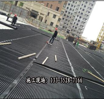 20mm車庫排水板銷售；HDPE塑料疏水板價格//徐州