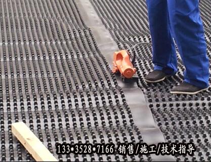 華陰20mm車庫塑料濾水板銷售；屋頂花園綠化排水板