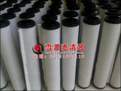 萊寶真空泵排氣過濾器71064773