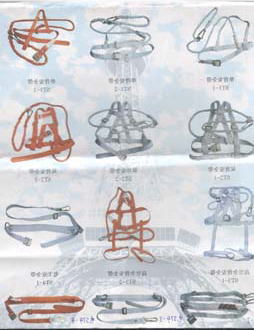 高空安全帶，雙背安全帶,單背安全帶