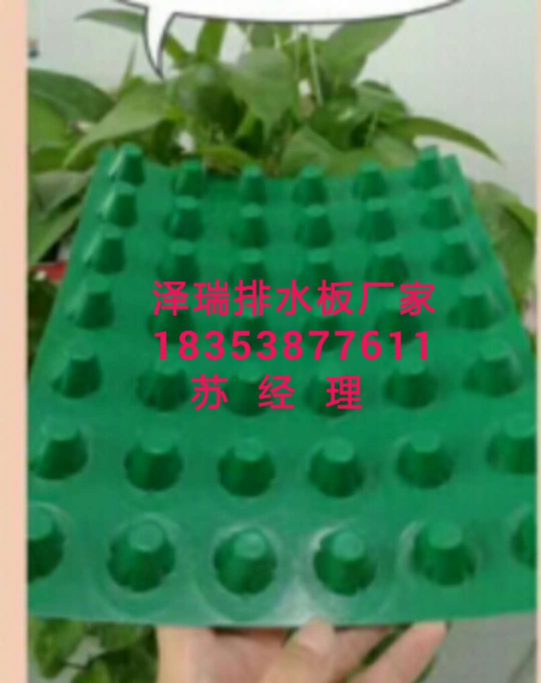 昆明屋頂綠化蓄排水板~排水板廠家歡迎您