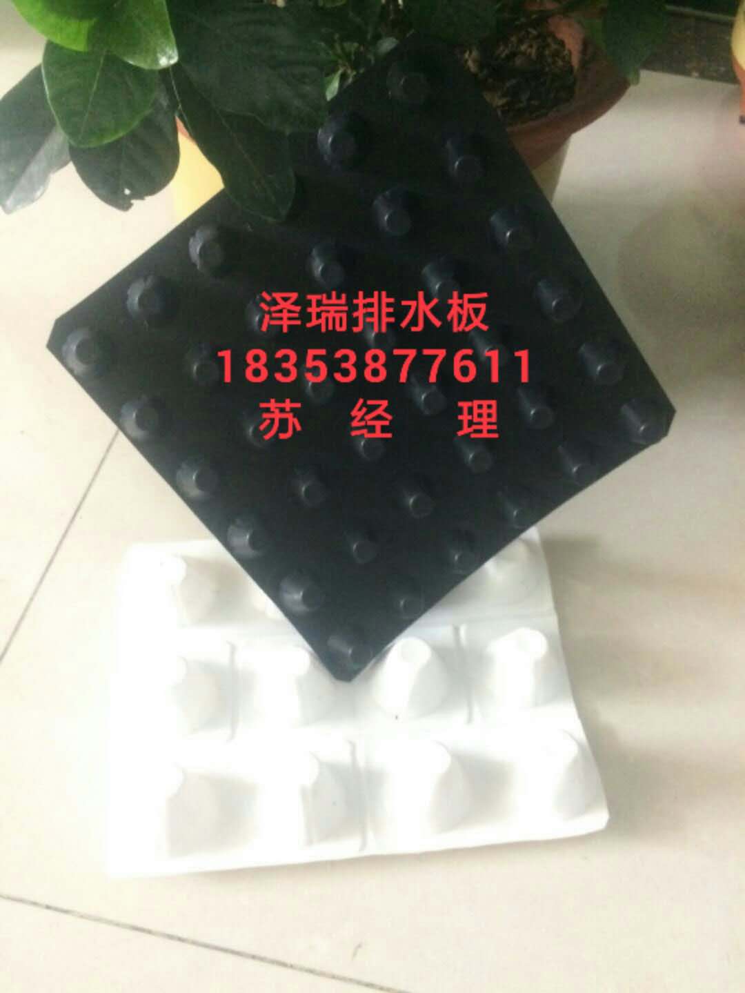 供應《昆山車庫綠化隔根板》20高蓄排水板廠家