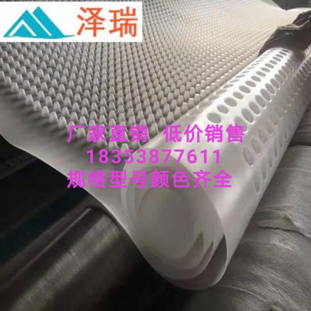 20高車庫排水板貴陽屋頂綠化蓄水排水板