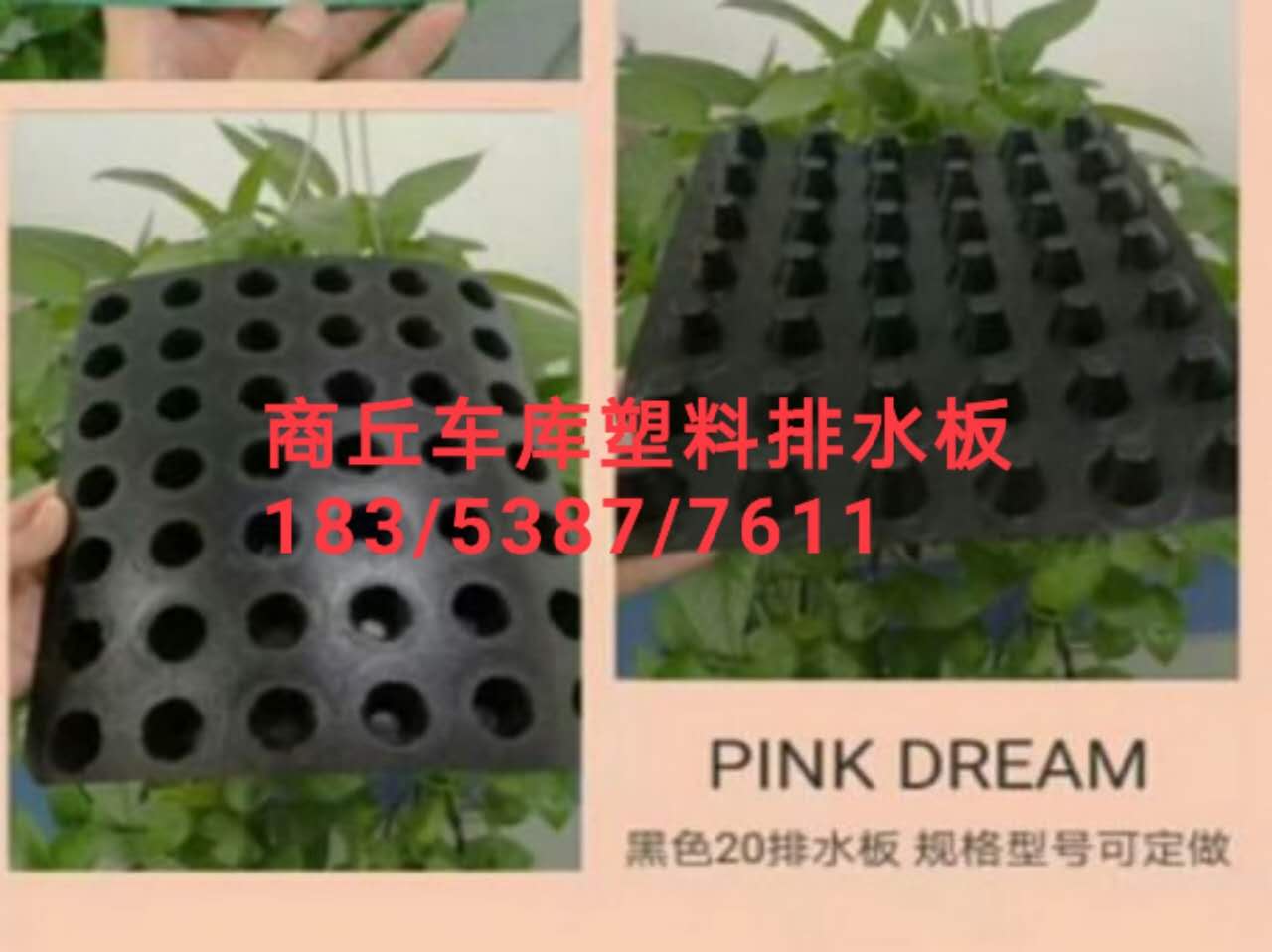 商丘車庫塑料排水板%2公分蓄排水板廠家