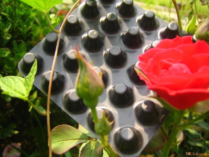 廣東/湛江屋頂綠化排水板（歡迎您）車庫排水板