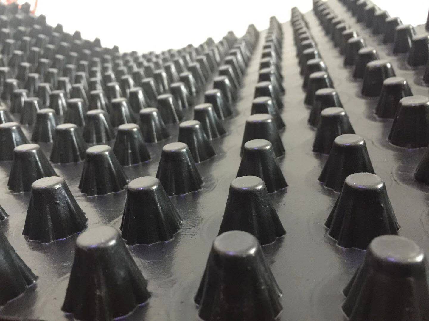 山東廠家儲水疏水板 直銷