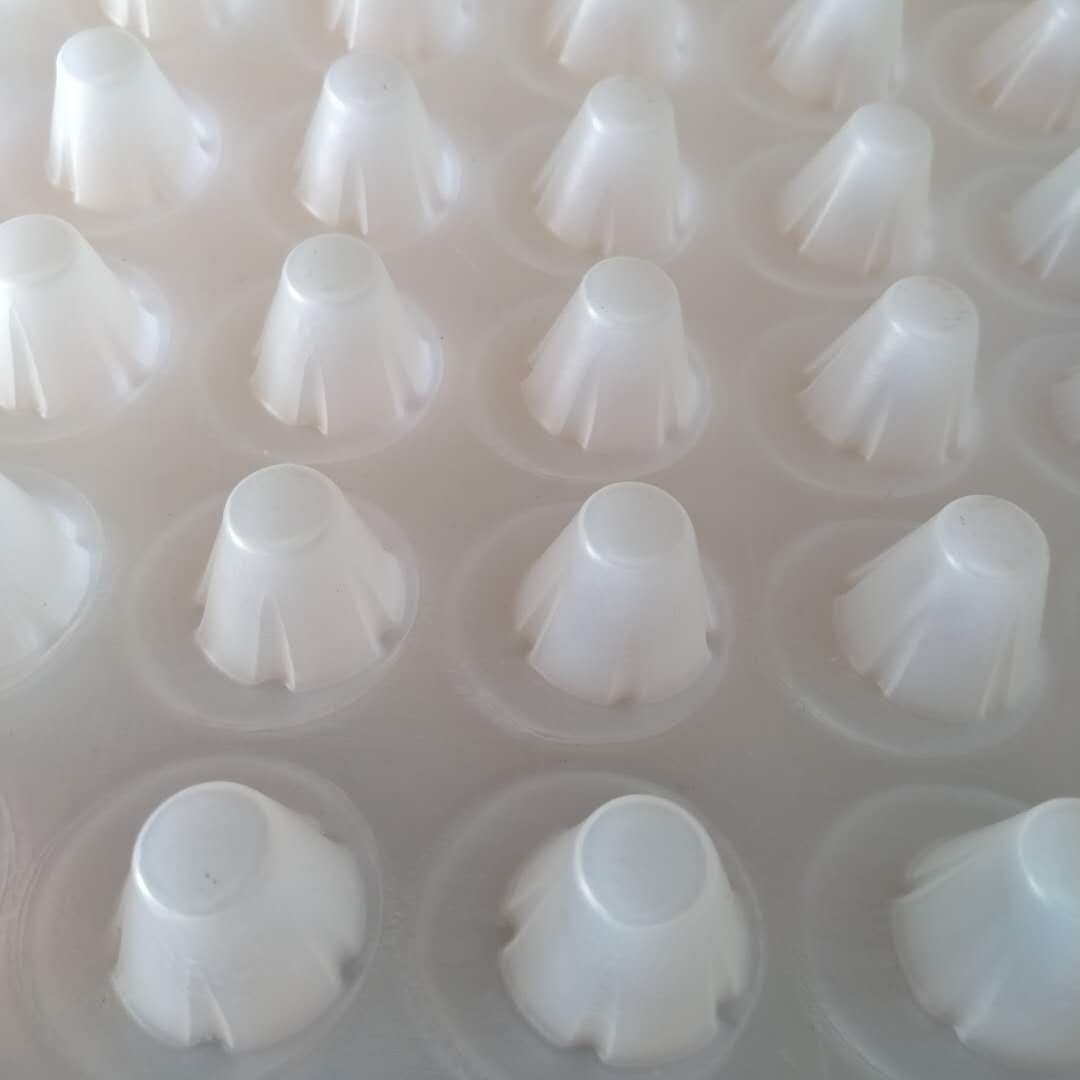 四川屋頂花園綠化排水板