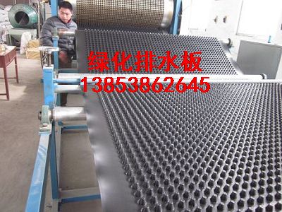 北京)北京綠化專用排水板銷售,北京銷售排