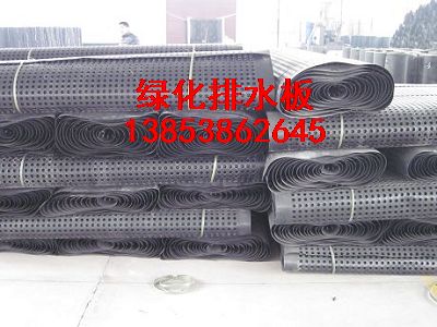 山東綠化塑料排水板——+綠化排水板山東銷
