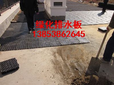  河北銷售—綠化排水板蓄排水板防根刺卷材
