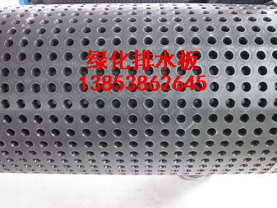 山東排水板）山東綠化排水板））山東排水板
