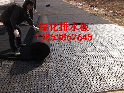 黑龍江排水板%%綠化排水板%%