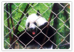 勾花網 支護網 鐵網 防護網 活絡網