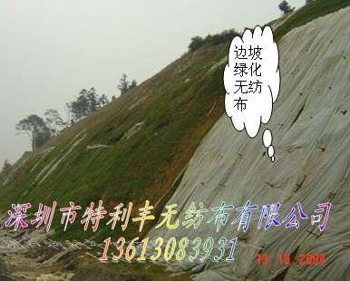 邊坡綠化無紡布